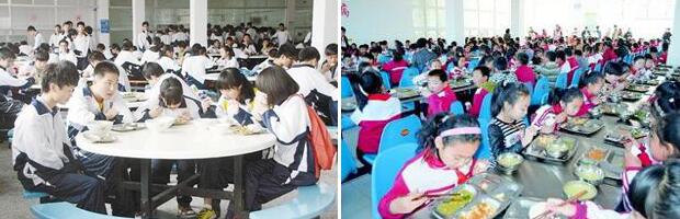 號稱“中小學營養餐”卻每年浪費驚人 問題出在哪？